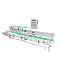 Двухуровневый чеквейер для пищевой промышленности