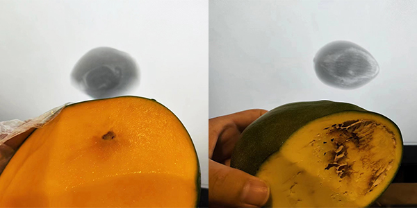 Рентгеновская инспекционная машина для исследования костей